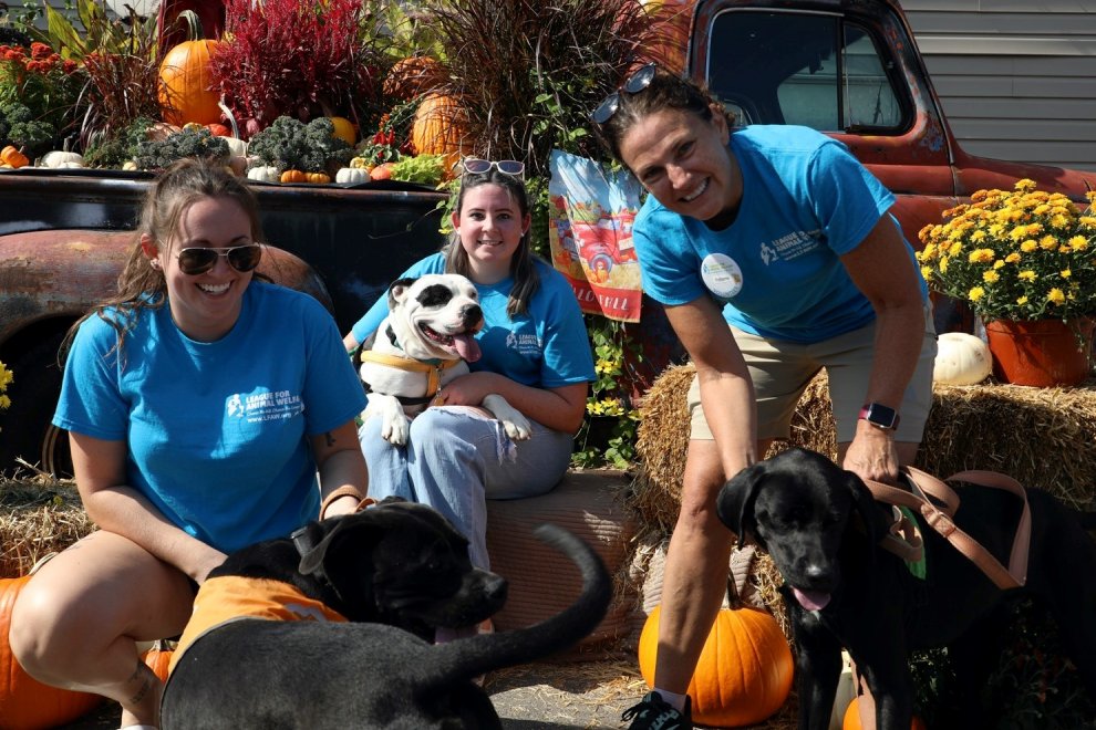 volunteers at an event with dogs